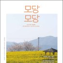 고흥-5호 이미지