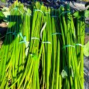 덕연농장 이미지