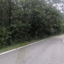 백화쉼터 이미지