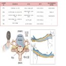 [신경초종 스토리] #4 상완신경총 신경초종 공부하기 | 수부외과 명의를 찾아서 | 진료 예약