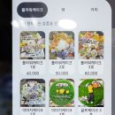 봄내베이킹 이미지