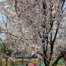 영산강대상근린공원 이미지