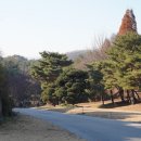 청정목장2 이미지