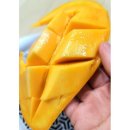 망고 쇼핑하우