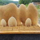 계상농장 이미지