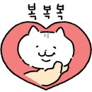 망고와 체리