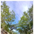 부산치유의숲 방문자센터 이미지