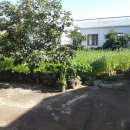 상모리-10 이미지