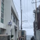 내집인제주 | 제주공항게하 노마드인제주 1박 포틀럭파티 후기(+근처 맛집 정보)