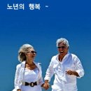 블루콘텔 이미지