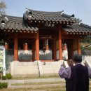 오충사 이미지