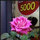 큰손원조할매순대국 이미지