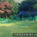 병아리소풍 이미지