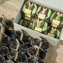 little sandwich shop(나의 작은 샌드위치 가게) 수원 호매실 금곡동 당수동 샌드위치 샐러드 단체...