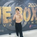 내일복싱