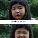 피고지고 이미지