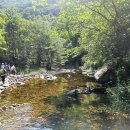 진부령미술관 이미지