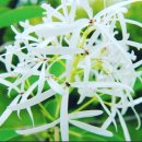 강남대로4-5 이미지