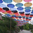 스카이팜 이미지