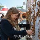 마이투어코리아 이미지