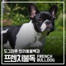 도그마루(왕십리점) 이미지