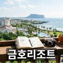금호정비서비스(주) | 금호리조트 이용 정보와 최근 운영 변화 정리