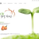 팜원 이미지