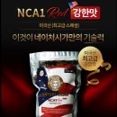 네이처시가 네이버블로그