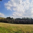 구도목장 | 충청도 서산의 알프스 감성 가을 풍경"서산 한 후 목장 길"