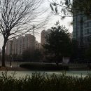 수내 인라인스케이트장 이미지