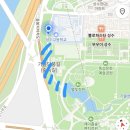 영힐링숲 | 등록 필요!] 포켓몬 서울숲 성수 팝업스토어 힐링 포레스트, 메타몽 놀이터, 올리브영N 성수 해산 후기