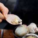 황금손 해물칼국수 무의점