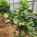 기현농장 이미지