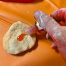 엄마표미술놀이~ 물감놀이, 엘틴푸드칼라 천연식용색소 놀이! 집에서아이와놀기 딱좋아♡