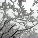 안성리-3 이미지