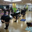 snpe체형교정 이미지