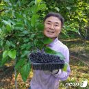 오누이농장 이미지