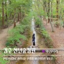 단포리 육교 경관 | 경주 외나무다리 | 경북천년숲정원 주차장 포토존
