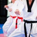 다오름태권도장 이미지