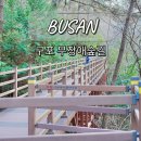 삼봉산_숲길(등산)1코스 | 부산 등산 코스 추천 구포 무장애숲길 야경 주차장 총정리