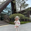 [소노펫 클럽앤리조트 비발디파크] 20개월 아기, 16kg...가족여행 숙소 후기 + 먹고 놀거리(플레이...