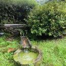 (주)오이코스