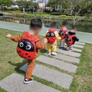 대양어린이집 이미지