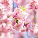 상록동물병원 이미지