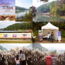 장흥 3리 | 포천 명성산 억새꽃 축제(억새 축제, 억새 명산,억새 산행)