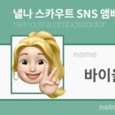 케이스카우트 이미지