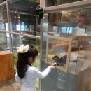 토끼와당근용인지사 | 용인 아이랑 실내 가볼만한곳, 실내동물원 수달앤쥬 용인점 대만족 후기