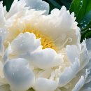 모란생태공원 이미지