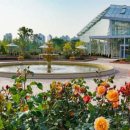 영흥수목원 전시온실 이미지