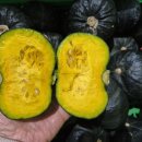 파근파근 맛있는 겨울 하우스 미니밤호박 판매마감 이미지